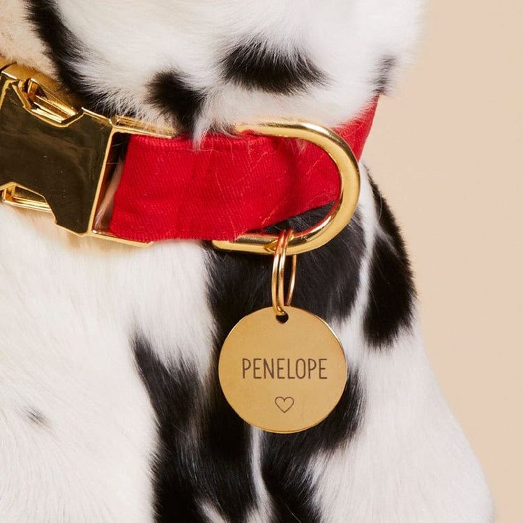 Pets Name Tags